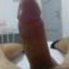 foto do perfil tesudoinsaciavel